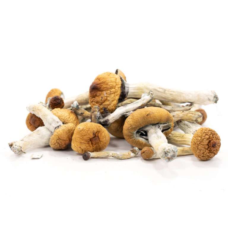 how long does shrooms take to hit