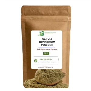 Buy Salvia Divinorum