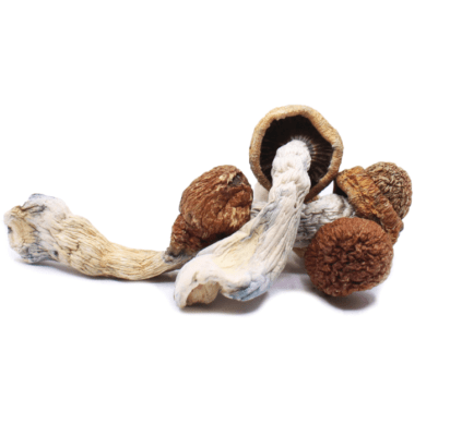 where to buy psychedelics