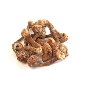dried mushrooms