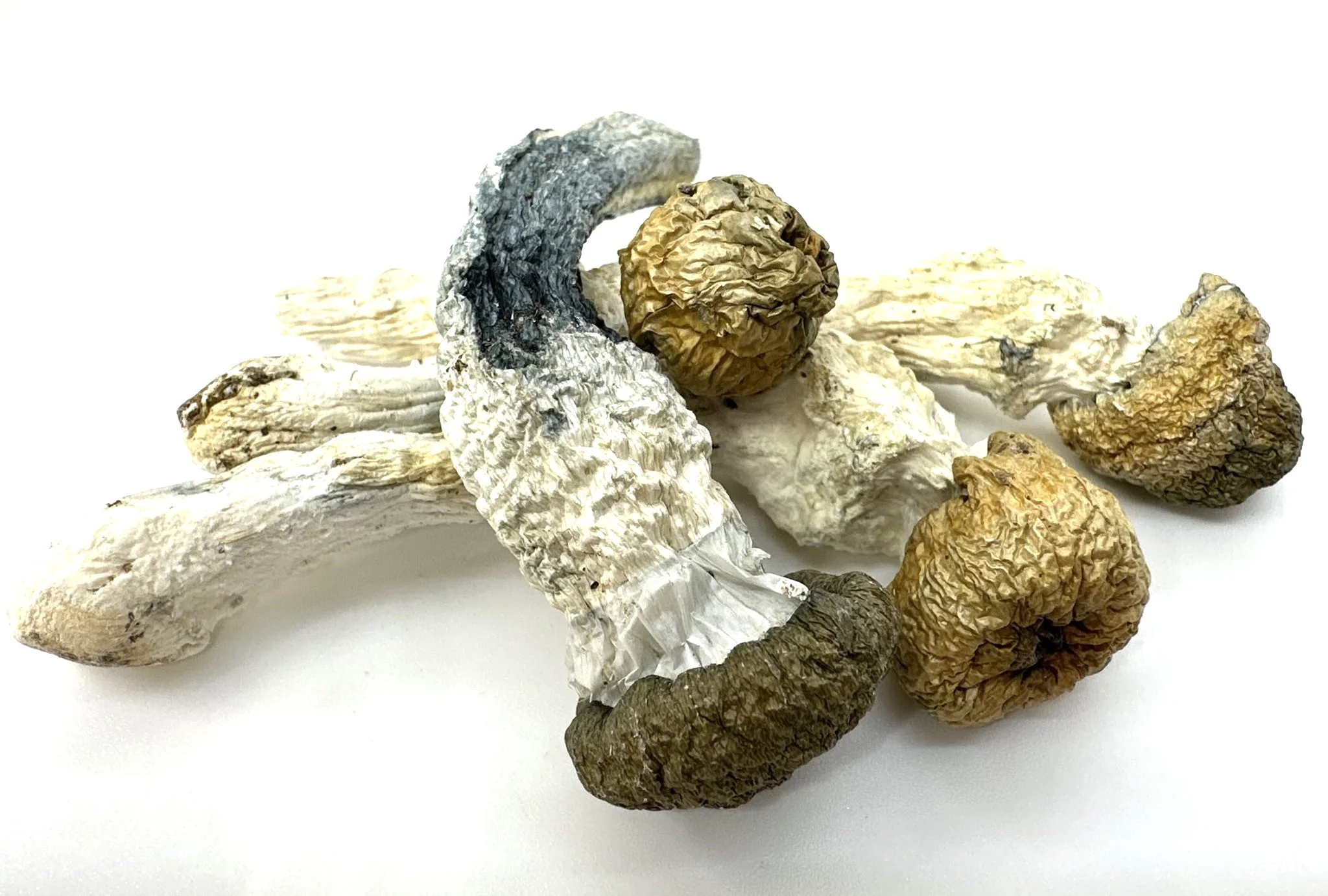 Penis Envy Magic Mushrooms