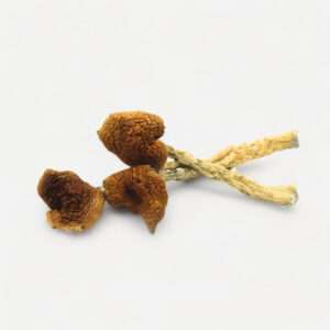 order magic mushrooms online
