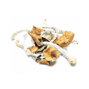 order magic mushrooms online