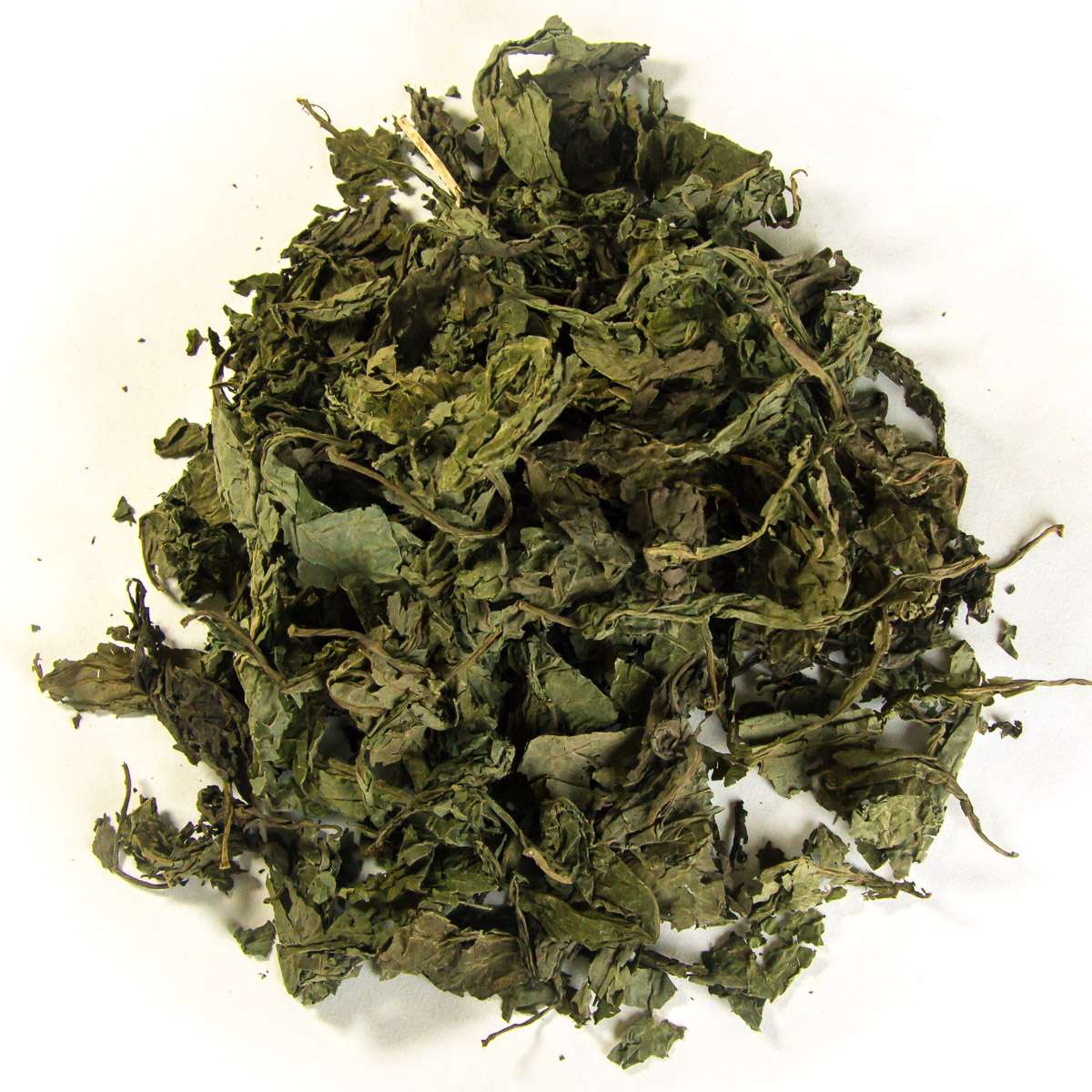 salvia-divinorum-leaf buy salvia divinorum